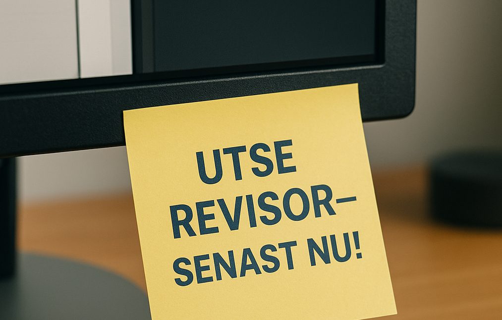 Undvik likvidationsföreläggande genom att utse revisor